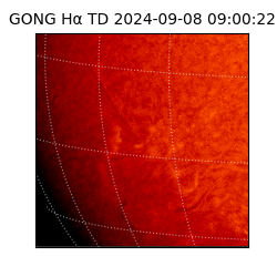 gong - 2024-09-08T09:00:22