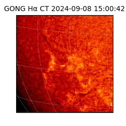 gong - 2024-09-08T15:00:42