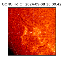 gong - 2024-09-08T16:00:42