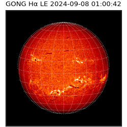 gong - 2024-09-08T01:00:42