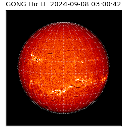 gong - 2024-09-08T03:00:42