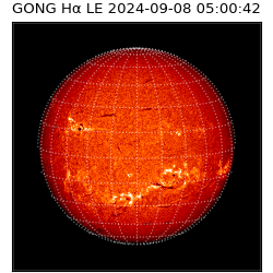 gong - 2024-09-08T05:00:42