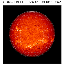 gong - 2024-09-08T06:00:42