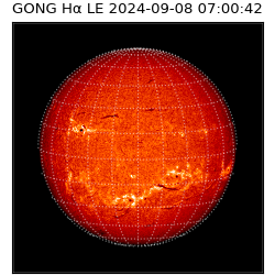 gong - 2024-09-08T07:00:42
