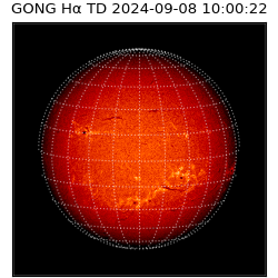gong - 2024-09-08T10:00:22