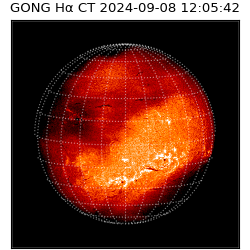 gong - 2024-09-08T12:05:42
