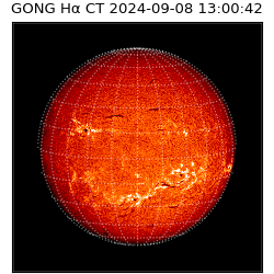 gong - 2024-09-08T13:00:42