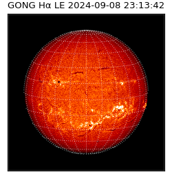 gong - 2024-09-08T23:13:42