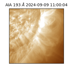 saia - 2024-09-09T11:00:04.843000