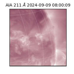 saia - 2024-09-09T08:00:09.633000