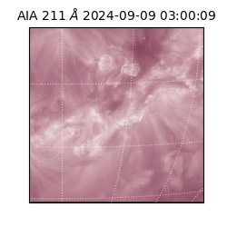 saia - 2024-09-09T03:00:09.626000