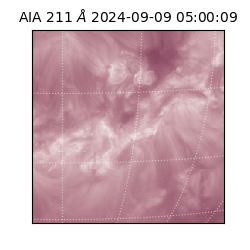 saia - 2024-09-09T05:00:09.626000