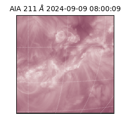 saia - 2024-09-09T08:00:09.633000