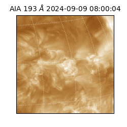 saia - 2024-09-09T08:00:04.843000