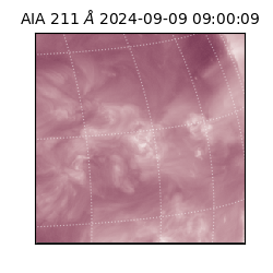 saia - 2024-09-09T09:00:09.626000