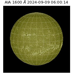 saia - 2024-09-09T06:00:14.129000