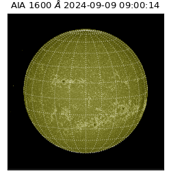 saia - 2024-09-09T09:00:14.126000