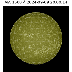 saia - 2024-09-09T20:00:14.126000