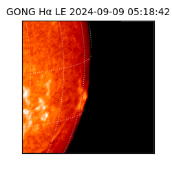 gong - 2024-09-09T05:18:42