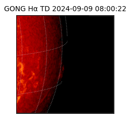 gong - 2024-09-09T08:00:22