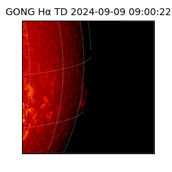 gong - 2024-09-09T09:00:22