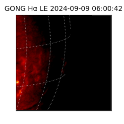 gong - 2024-09-09T06:00:42
