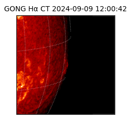 gong - 2024-09-09T12:00:42