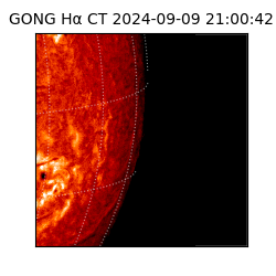 gong - 2024-09-09T21:00:42