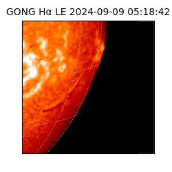 gong - 2024-09-09T05:18:42