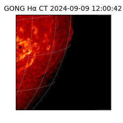 gong - 2024-09-09T12:00:42
