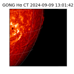 gong - 2024-09-09T13:01:42