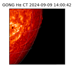 gong - 2024-09-09T14:00:42