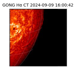 gong - 2024-09-09T16:00:42