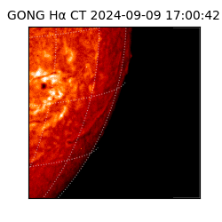 gong - 2024-09-09T17:00:42