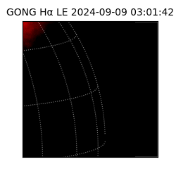 gong - 2024-09-09T03:01:42