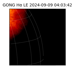 gong - 2024-09-09T04:03:42