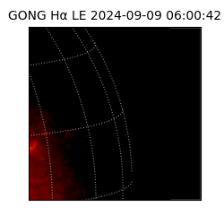 gong - 2024-09-09T06:00:42
