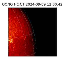 gong - 2024-09-09T12:00:42