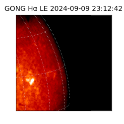 gong - 2024-09-09T23:12:42