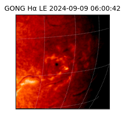 gong - 2024-09-09T06:00:42