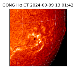 gong - 2024-09-09T13:01:42