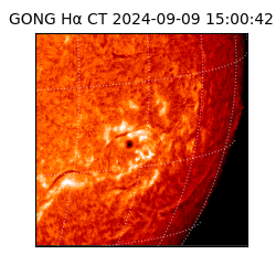 gong - 2024-09-09T15:00:42