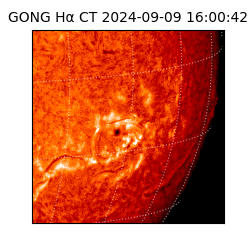 gong - 2024-09-09T16:00:42