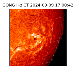 gong - 2024-09-09T17:00:42