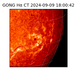 gong - 2024-09-09T18:00:42