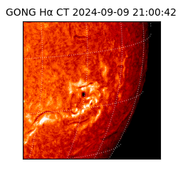 gong - 2024-09-09T21:00:42