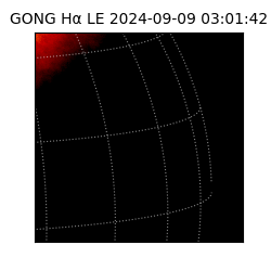 gong - 2024-09-09T03:01:42