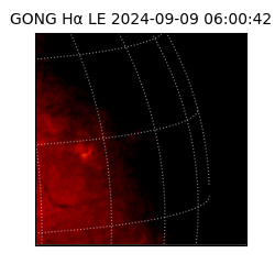 gong - 2024-09-09T06:00:42