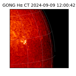 gong - 2024-09-09T12:00:42