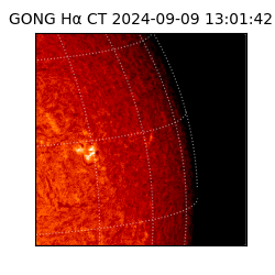 gong - 2024-09-09T13:01:42